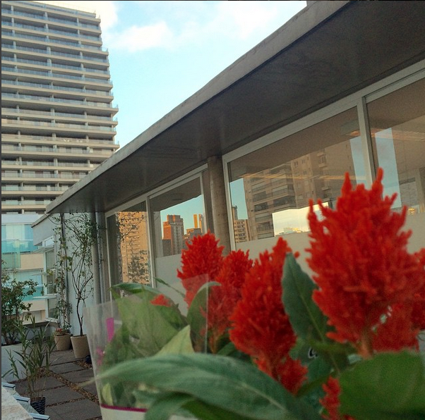 inauguração-gcampaner-1